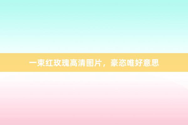 一束红玫瑰高清图片，豪恣唯好意思